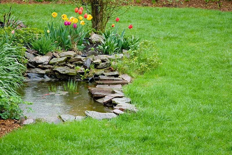 A sustainable garden design with a pond