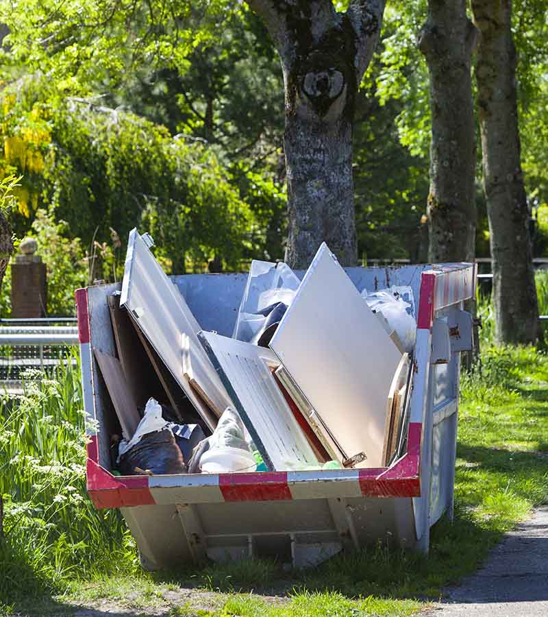 Skip placed on a grass verge