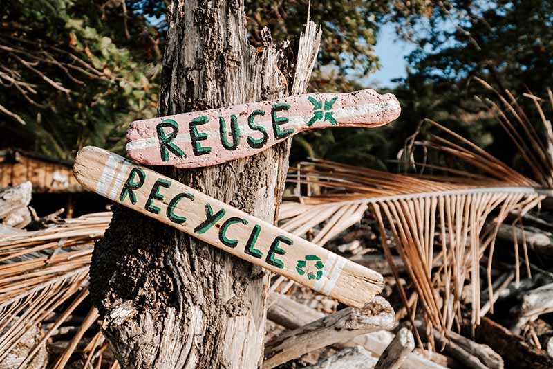 Eco-friendly Reuse and Recycled signs on a tree