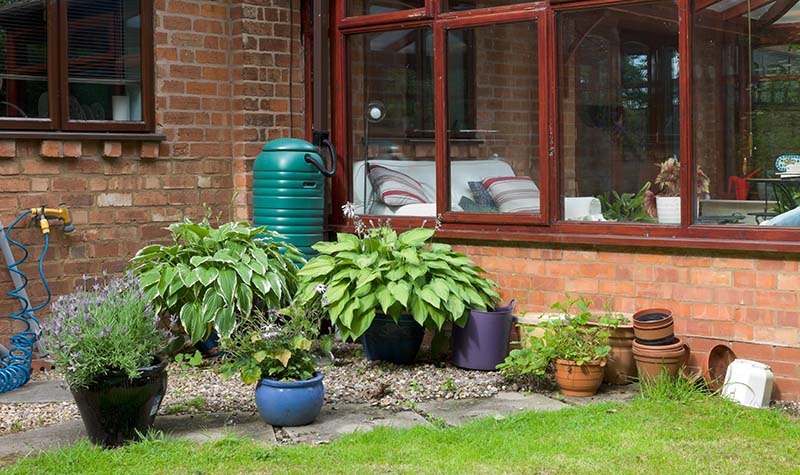 Water butt in a garden to collect rainwater connected to a drainpipe from the roof of a house