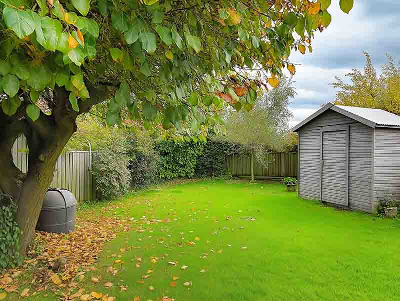 A lawn with a tree with fallen autumn leaves and a shed to the side in the background